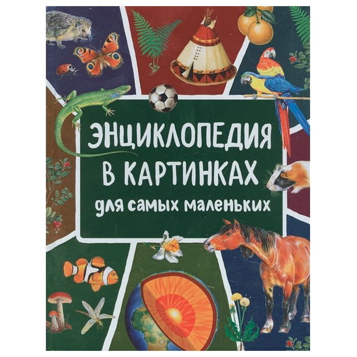 Книга 978-5-353-09911-6 Энциклопедия в картинках для самых маленьких 