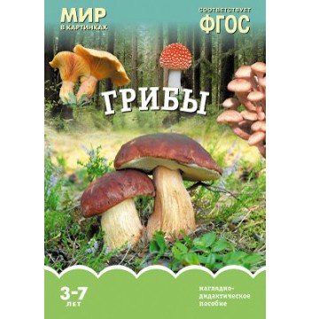 Книга 978-5-43150-919-3 Мир в картинках. Грибы