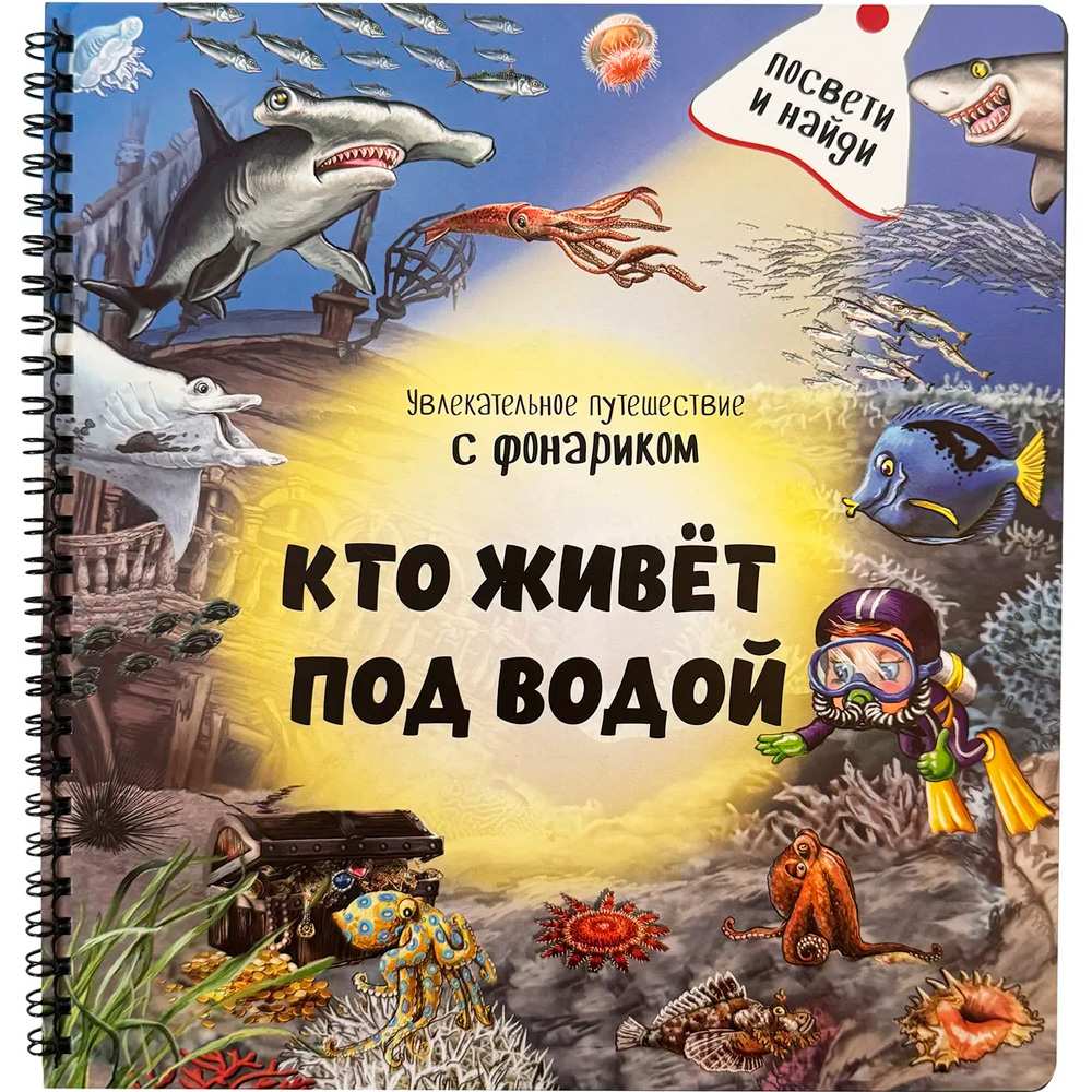 Книга 978-5-907-66442-5 Книжка с фонариком 